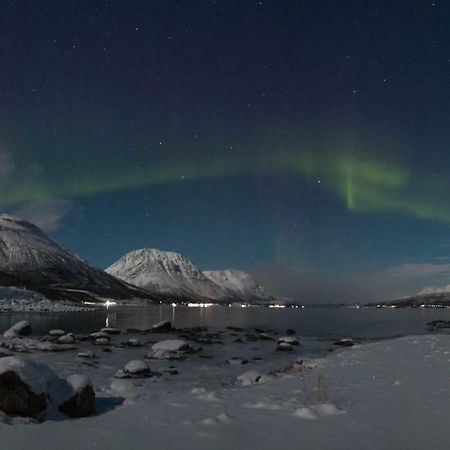 Sjursnes Fjordferie Daire Dış mekan fotoğraf