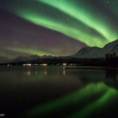 Sjursnes Fjordferie Daire Dış mekan fotoğraf