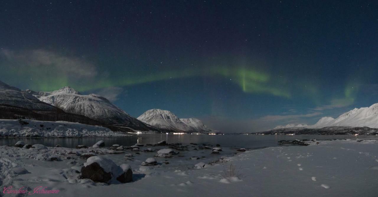 Sjursnes Fjordferie Daire Dış mekan fotoğraf