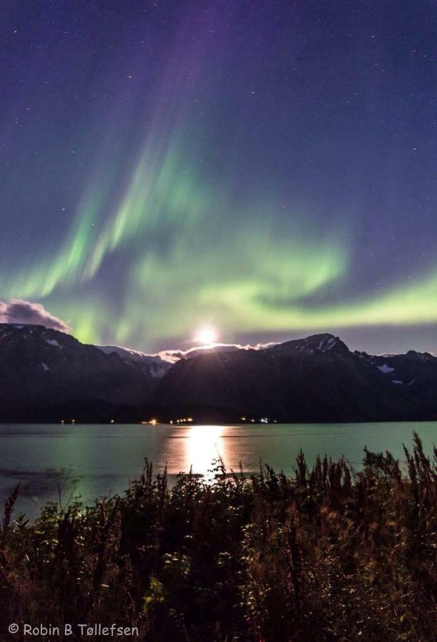 Sjursnes Fjordferie Daire Dış mekan fotoğraf