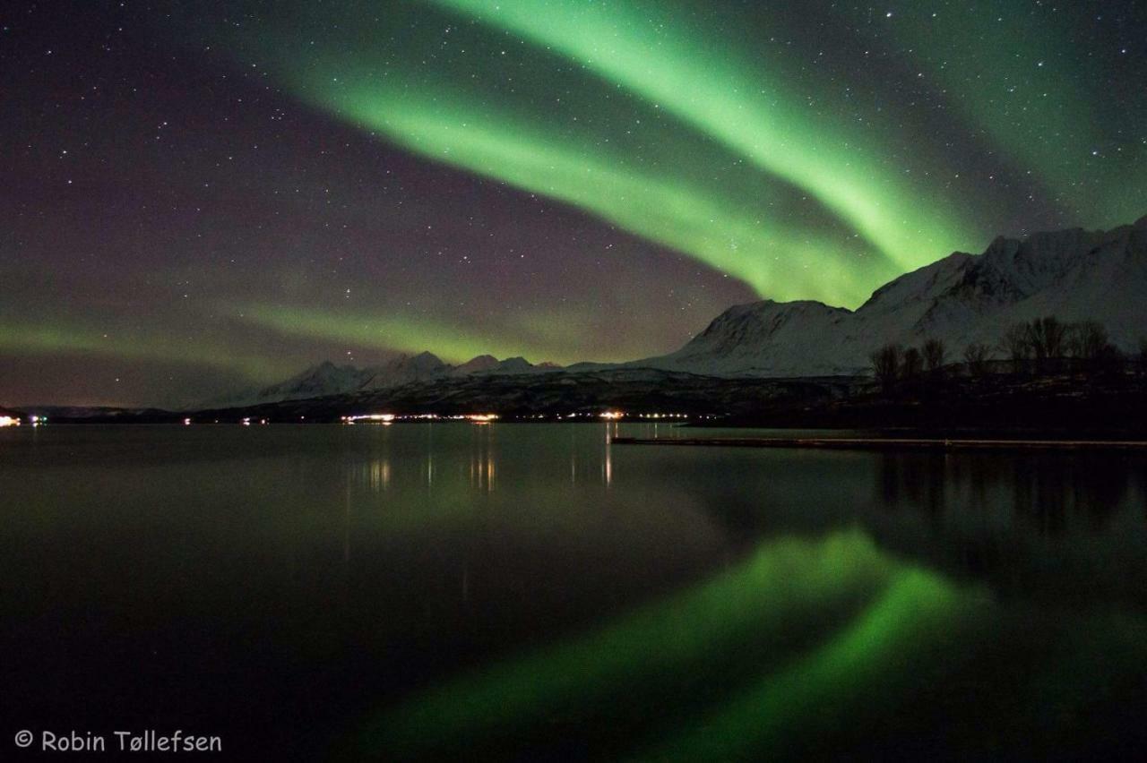 Sjursnes Fjordferie Daire Dış mekan fotoğraf