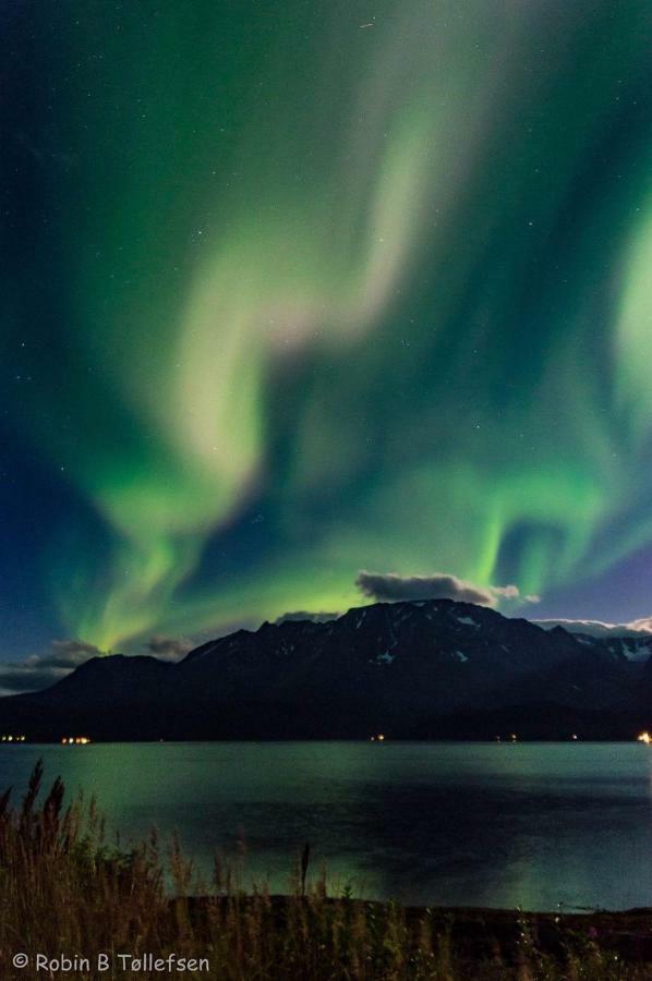 Sjursnes Fjordferie Daire Dış mekan fotoğraf