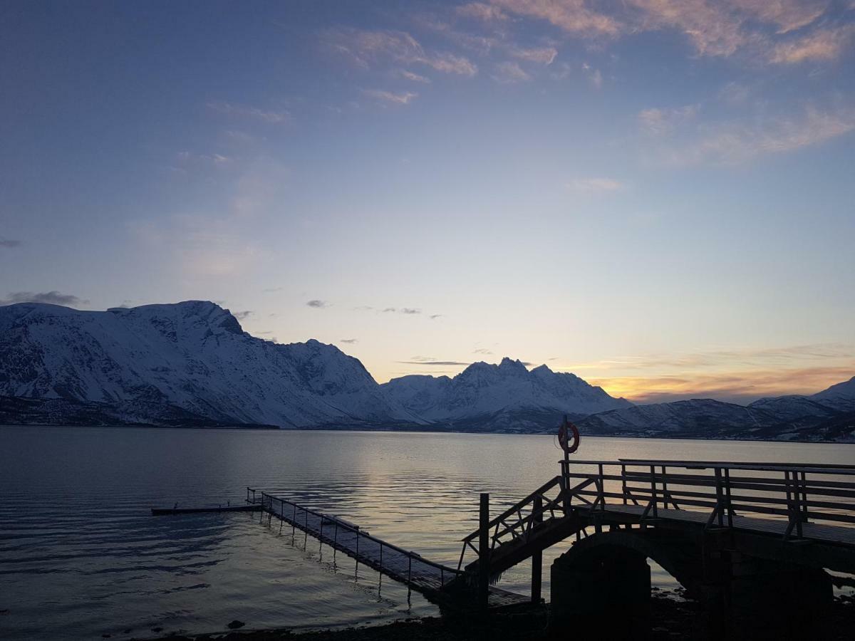 Sjursnes Fjordferie Daire Dış mekan fotoğraf