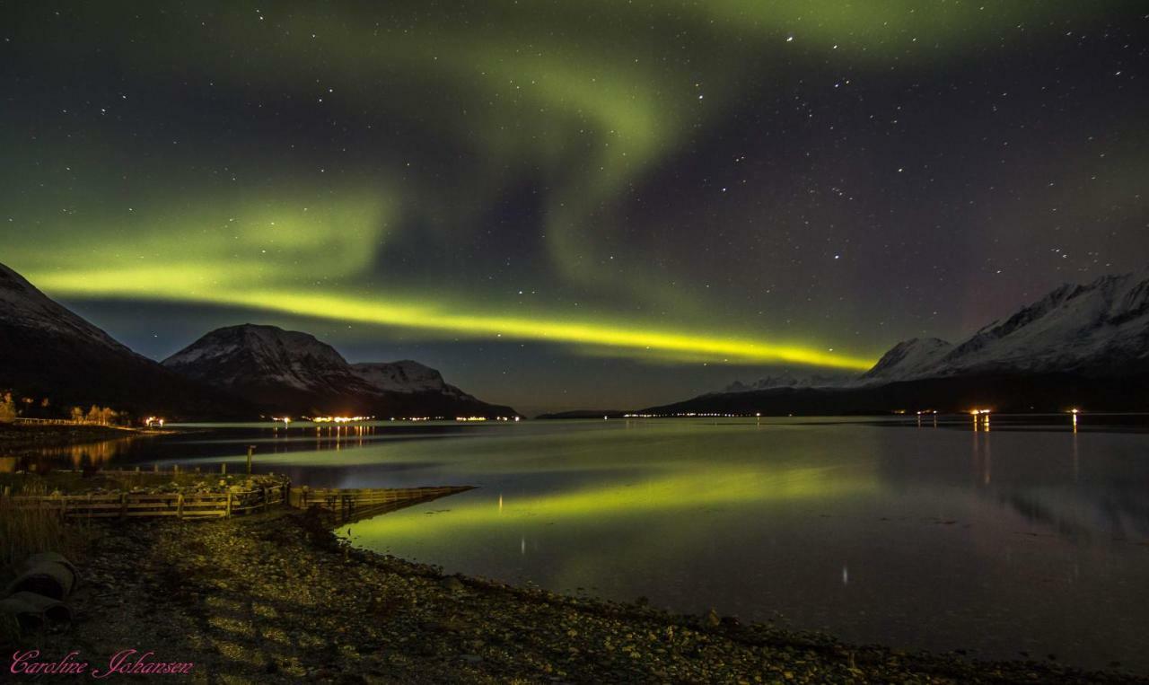 Sjursnes Fjordferie Daire Dış mekan fotoğraf