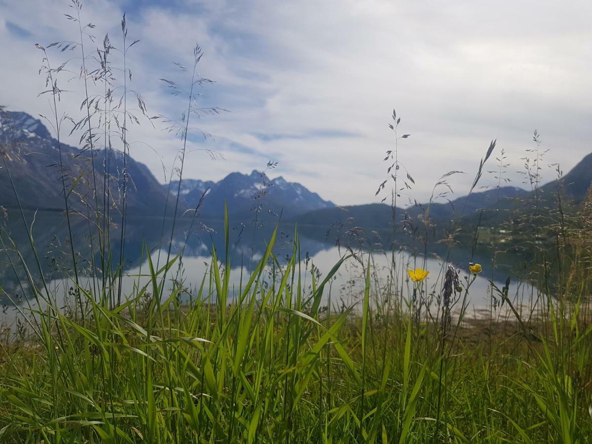 Sjursnes Fjordferie Daire Dış mekan fotoğraf