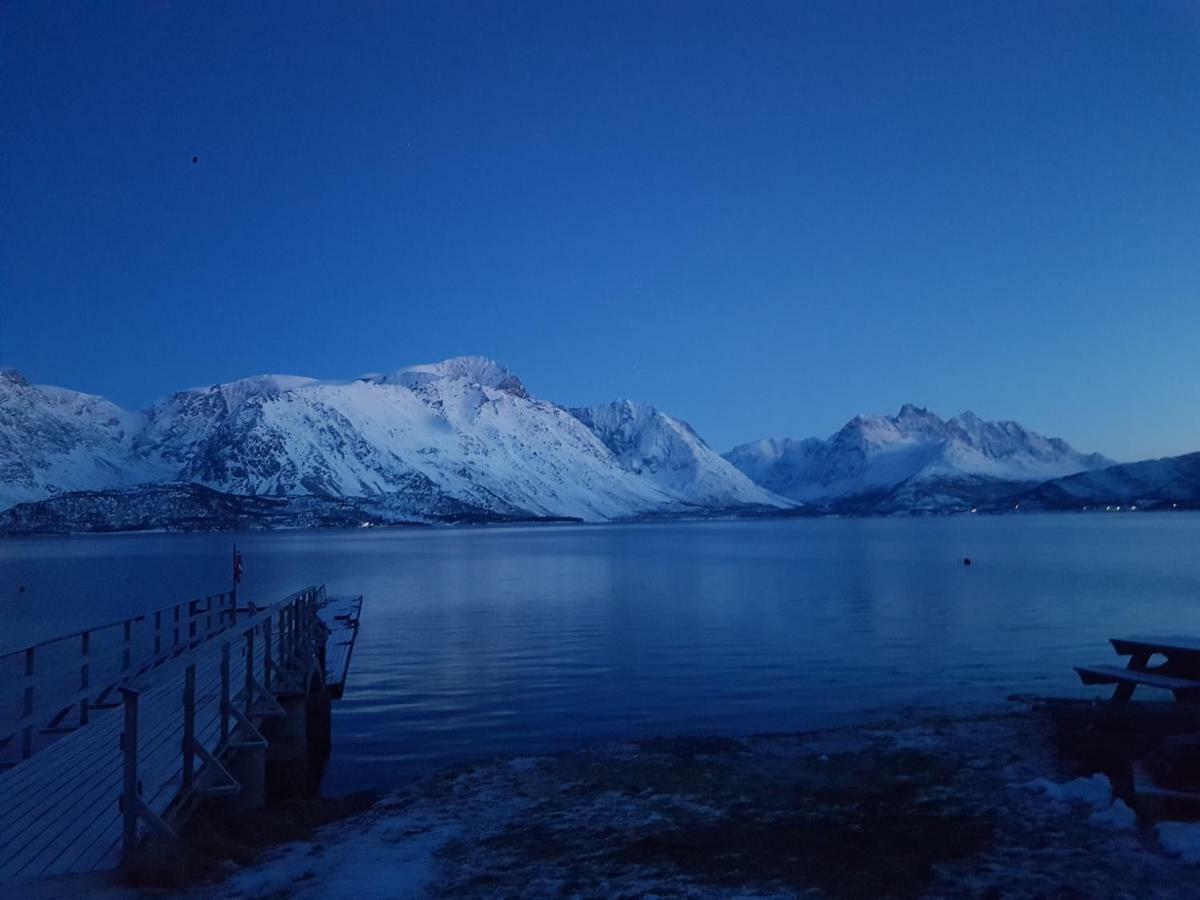 Sjursnes Fjordferie Daire Dış mekan fotoğraf